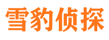 宁津市私家侦探